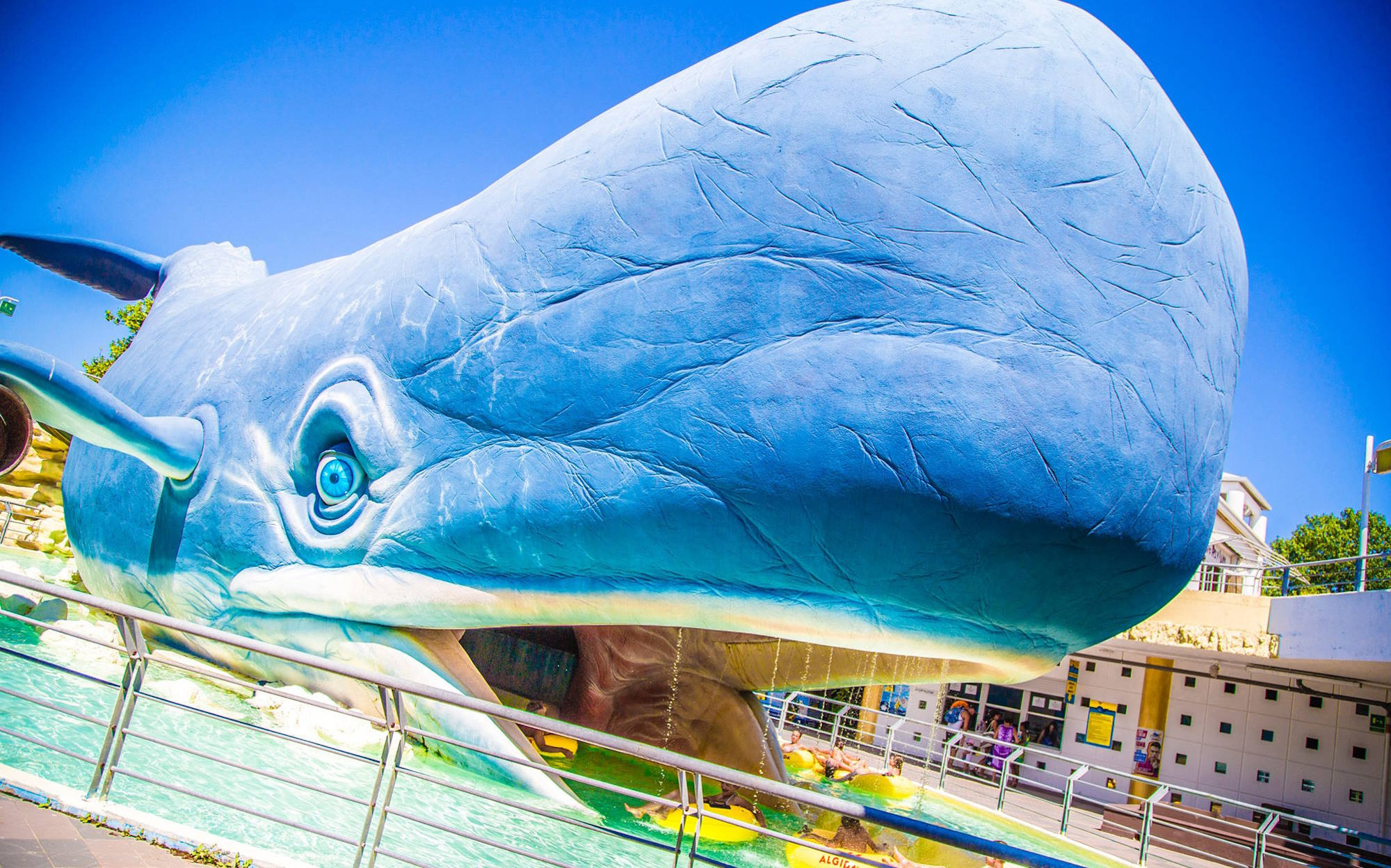 media.Balena_Melodie_al_Parco_Acquatico_Atlantica_Cesenatico_biglietti_ingresso_gratuiti_Vacanze_Club_Family_Hotel